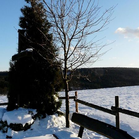 Comfortable Holiday Home in Neuastenberg with Sauna Winterberg Exterior foto