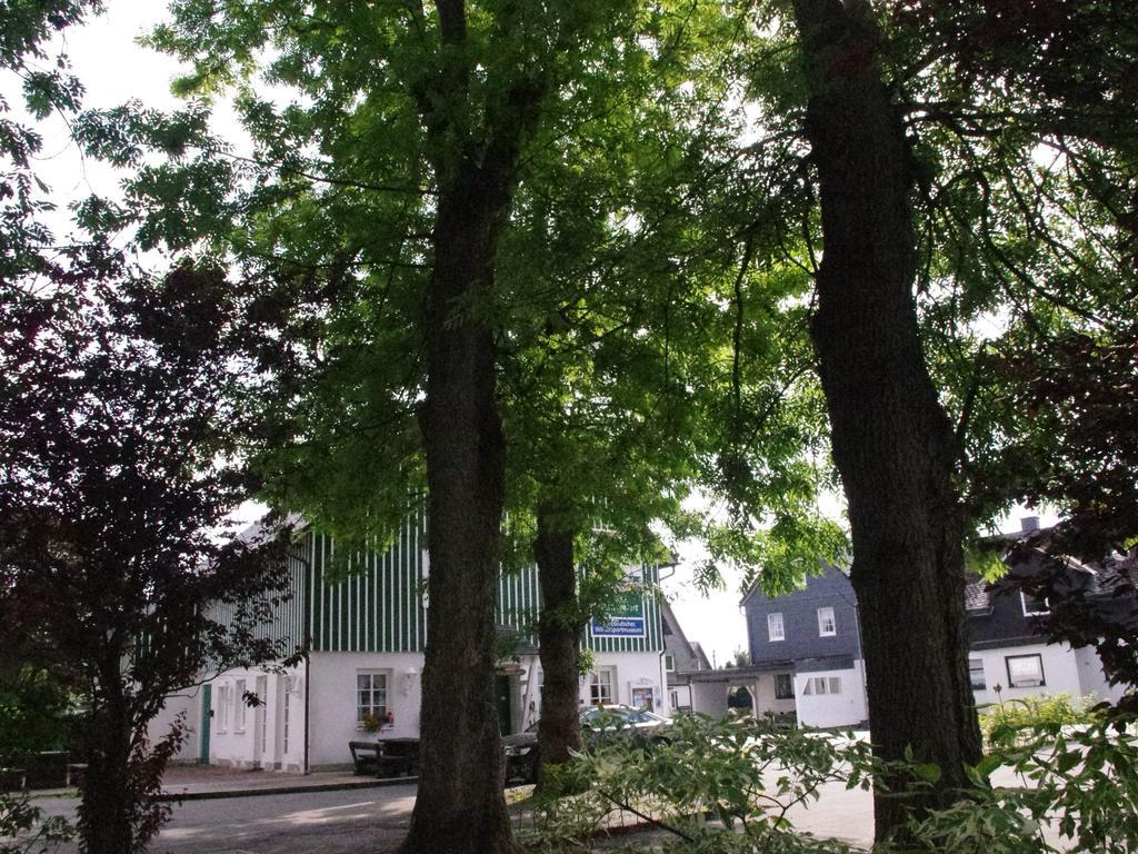 Comfortable Holiday Home in Neuastenberg with Sauna Winterberg Exterior foto